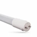 WOJ TUBA LED T8 10W 600MM 6500K CW G13