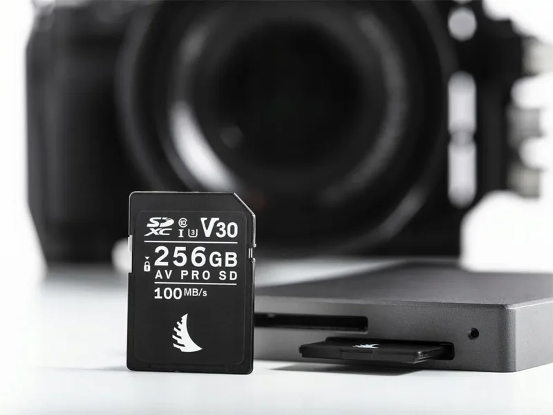 Western Digital WD Purple SC QD101 Ultra Endurance Karta microSDXC 256GB Class 10 UHS-I U1 WDD256G1P0C
